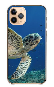 \30%OFF配布中/ Redmi Note 13 Pro ケース レッドミーノート13プロ カバー スマホケース ハードケース 亀 カメ かめ 海亀 ホヌ ウミガメ ダイビング 海の生き物 かわいい 綺麗 写真 ブルー ハード