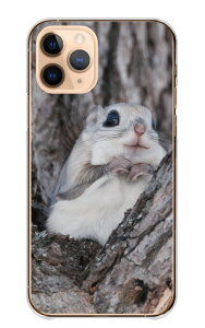 Google Pixel 6 ケース グーグルピクセル6 カバー スマホケース ハードケース モモンガ ももんが フクロモモンガ エゾモモンガ 動物 アニマル 可愛い かわいい 癒し 写真 森 ハード スマホカバー