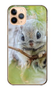 iPhone SE (2) iPhoneSE(2) P[X Jo[ ACtHSE 񐢑 X}zP[X n[hP[X K  tNK G]K  Aj}  킢  ʐ^