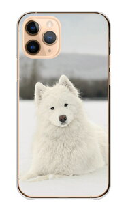 \30%OFF配布中/ LG style3 L-41A LG ケース スタイル3 L-41A カバー スマホケース ハードケース サモエド犬 大型犬 白い犬 仔犬 動物 ペット 可愛い かわいい 写真 雪 ロシア ホワイト ハード スマホ