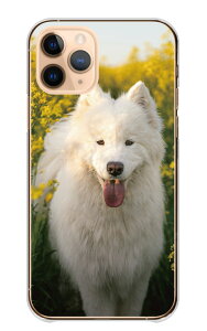 AQUOS wish SHG06 A104SH P[X ANIXEBbV Jo[ X}zP[X n[hP[X TGh ^  e  ybg  킢 ʐ^  VA zCg n[h X}zJo[ 