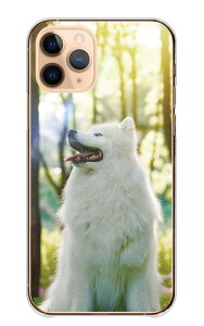 iPhone 17 Pro P[X ACtH17v iPhone17Pro Jo[ Apple Abv X}zP[X n[hP[X TGh ^  e  ybg  킢 ʐ^  VA zCg n[h 