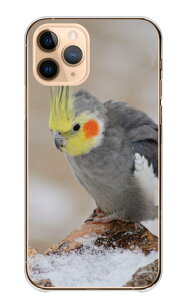 Google Pixel 8a P[X O[OsNZ8a Jo[ X}zP[X n[hP[X IJCR CR ߂   o[h ybg  ʐ^ CG[ O[ n[h X}zJo[ g