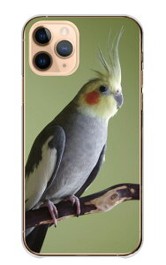 _30%OFFzz^ iPhone 17 Pro P[X ACtH17v iPhone17Pro Jo[ Apple Abv X}zP[X n[hP[X IJCR CR ߂   o[h ybg  ʐ^ CG