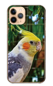 Google Pixel 8a ケース グーグルピクセル8a カバー スマホケース ハードケース オカメインコ インコ おかめいんこ 鳥 小鳥 バード ペット 可愛い 写真 イエロー グリーン ハード スマホカバー 携
