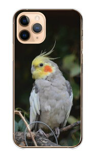 Google Pixel 8a P[X O[OsNZ8a Jo[ X}zP[X n[hP[X IJCR CR ߂   o[h ybg  ʐ^ CG[ O[ n[h X}zJo[ g