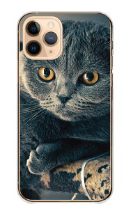 Google Pixel 6a P[X O[OsNZ6A Jo[ X}zP[X n[hP[X L lR L XReBbVtH[h }`J ʐ^  IV   x[W n[h X}