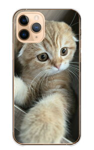 Galaxy S20+ plus SC-52A SCG02 P[X MNV[S20vX Jo[ X}zP[X n[hP[X L lR L XReBbVtH[h }`J ʐ^  IV   x[W 