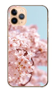 Galaxy A36 5G SC-54F P[X MNV[A36 Jo[ X}zP[X n[hP[X  TN  Ԑ \CVm g t i Ԍ ʐ^ sN IV  n[h X}zJo