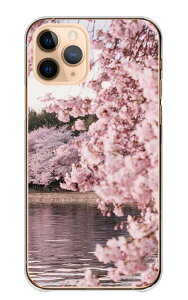AQUOS sense5G SH-53A SHG03 P[X ANIXZX5G Jo[ X}zP[X n[hP[X  TN  Ԑ \CVm g t i Ԍ ʐ^ sN IV  n[h X}