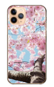 Galaxy S22 Ultra SC-52C SCG14 P[X MNV[S22Eg Jo[ X}zP[X n[hP[X  TN  Ԑ \CVm g t i Ԍ ʐ^ sN IV  n