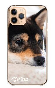 LG style3 L-41A LG P[X X^C3 L-41A Jo[ X}zP[X n[hP[X Č  VoCk ΂   ʐ^  {  킢  Vv n[h X}zJo[ g