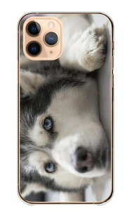 Google Pixel 9 Google Pixel 9Pro �P�[�X �J�o�[ �O�[�O���s�N�Z��9/9Pro �X�}�z�P�[�X �n�[�h�P�[�X �V�x���A���n�X�L�[ �n�X�L�[�� �T�� ���� �y�b�g �ʐ^ ���������� ���� ���킢�� �N�[�� �n�[�h 