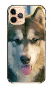 30%N[|ubNtCf[ Google Pixel9/9Pro P[X O[OsNZ9 / 9v Jo[ X}zP[X n[hP[X VxAnXL[ nXL[ T  ybg ʐ^ 