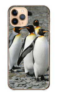 Google Pixel 6a P[X O[OsNZ6A Jo[ X}zP[X n[hP[X yM lyM IET}yM REeC  Aj} ʐ^  킢 u[ n[h X}zJo