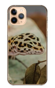 iPhone 13 iPhone13 P[X ACtH13 Jo[ X}zP[X n[hP[X Ip qEgJQhLgJQ gJQ  ঒ ʐ^  IV n[h X}zJo[ gуP[X 