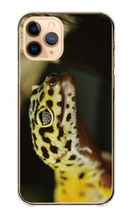 HUAWEI P40 lite E P40lite E P[X Jo[ t@[EFC P40 CgE X}zP[X n[hP[X Ip qEgJQhLgJQ gJQ  ঒ ʐ^  IV n[h X}z