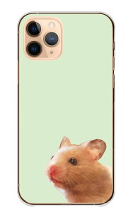 iPhone 17 ProMAX P[X ACtH17v}bNX Jo[ Apple Abv X}zP[X n[hP[X nX^[  S[fnX^[ ʐ^ ӂ  Vv 邢  