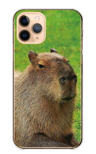 _30%OFFzz^ Redmi Note 10T P[X bh~[m[g 10T Jo[ X}zP[X n[hP[X Jso ҂΂  Aj} ɂ܂ ӂ ʐ^  킢 n[h X}zJo[ 