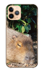 炭炭X}z F-52B P[X hR 炭炭X}[gtH Jo[ X}zP[X n[hP[X Jso ҂΂  Aj} ɂ܂ ӂ ʐ^  킢 n[h X}zJ