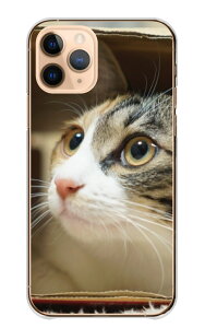 񂵂X}z KY-51B P[X Jo[ X}zP[X n[hP[X L lR ˂ OєL ݂˂ n` glR ʐ^  킢 ybg ɂ܂ n[h X}zJo[ gуP[X g