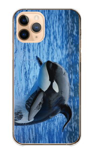 Xperia 8 SOV42 ケース エクスペリア8 カバー スマホケース ハードケース シャチ 鯱 海 海の生き物 海のギャング 写真 水族館 かっこいい カッコイイ 白黒 ハード スマホカバー 携帯ケース 携帯カ