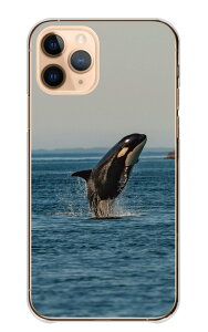 iPhone 17 Pro P[X ACtH17v iPhone17Pro Jo[ Apple Abv X}zP[X n[hP[X V`  C C̐ C̃MO ʐ^   JbRCC  n[h X}z