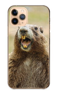 _30%OFFN[|zz^ Google Pixel 9a P[X O[OsNZ9a Jo[ X}zP[X n[hP[X }[bg ܁[   ɂ܂   킢 ʐ^ R X n[h 