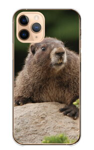 iPhone 17 Pro ケース アイフォン17プロ iPhone17Pro カバー Apple アップル スマホケース ハードケース マーモット まーもっと 叫ぶ 動物 あにまる 癒し 可愛い かわいい 写真 山脈 リス科 ハード スマ