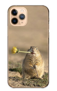 Google Pixel 9a ケース グーグルピクセル9a カバー スマホケース ハードケース マーモット まーもっと 叫ぶ 動物 あにまる 癒し 可愛い かわいい 写真 山脈 リス科 ハード スマホカバー 携帯ケー