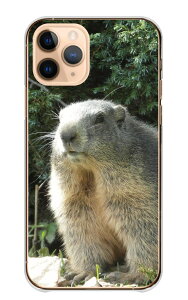 Google Pixel 9a P[X O[OsNZ9a Jo[ X}zP[X n[hP[X }[bg ܁[   ɂ܂   킢 ʐ^ R X n[h X}zJo[ gуP[