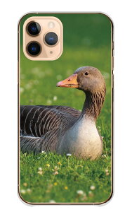 �_30%�I�t�����N�[�|���z�z�^ OPPO A73 A73 �P�[�X �J�o�[ �I�b�| A73 �X�}�z�P�[�X �n�[�h�P�[�X �K�`���E �����傤 �� �Ƃ� ���� �O�[�X �H�� �� �ʐ^ �t�H�g ���� ���킢�� �n�[�h �X�}�z�J�o