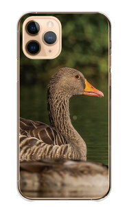 OPPO A73 A73 �P�[�X �J�o�[ �I�b�| A73 �X�}�z�P�[�X �n�[�h�P�[�X �K�`���E �����傤 �� �Ƃ� ���� �O�[�X �H�� �� �ʐ^ �t�H�g ���� ���킢�� �n�[�h �X�}�z�J�o�[ �g�уP�[�X �g�уJ�o�[ �v