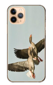 AQUOS wish SHG06 A104SH P[X ANIXEBbV Jo[ X}zP[X n[hP[X K`E 傤  Ƃ  O[X H  ʐ^ tHg  킢 n[h X}zJo[ gуP[