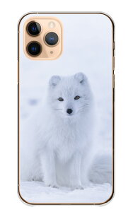 \30%OFF配布中/ Google Pixel10Pro XL ケース グーグルピクセル10プロXL カバー スマホケース ハードケース ホッキョクギツネ キツネ 北極狐 雪 冬 動物 アニマル 写真 可愛い モフモフ もふもふ ハ