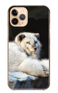 HUAWEI P20 lite HWV32 P[X t@[EFC P20 lite HWV32 Jo[ X}zP[X n[hP[X zbLNMcl Lcl kɌ  ~  Aj} ʐ^  tt ӂ n[h X}zJo