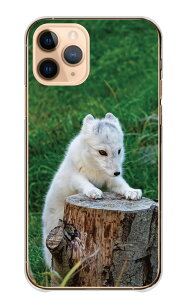 Google Pixel 7a GooglePixel7a �P�[�X �J�o�[ �O�[�O���s�N�Z��7a �X�}�z�P�[�X �n�[�h�P�[�X �z�b�L���N�M�c�l �L�c�l �k�Ɍ� �� �~ ���� �A�j�}�� �ʐ^ ���� ���t���t ���ӂ��� �n�[�h �X�}�z�J�o