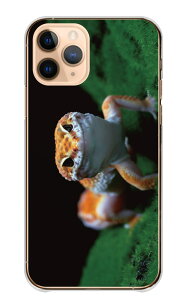 Redmi Note 11 P[X h~m[g11 Jo[ X}zP[X n[hP[X Ip qEgJQhL ঒ gJQ  ybg  ʐ^ n[h X}zJo[ gуP[X gуJ