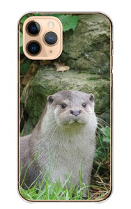 Android One X5 AndroidOne X5 �P�[�X �J�o�[ �A���h���C�h ����X5 �X�}�z�P�[�X �n�[�h�P�[�X �J���E�\ �R�c���J���E�\ ���키�� ������ ���� ���� ���킢�� �ʐ^ �n�[�h �X�}�z�J�o�[ �g�уP�[�X 