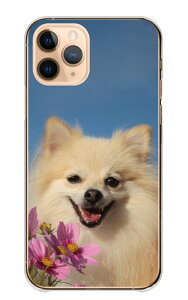 \30%OFF配布中/ Redmi 12 5G ケース レドミ12 5G カバー スマホケース ハードケース ポメラニアン ポメ 犬 イヌ いぬ 子犬 動物 フワフワ 写真 かわいい 可愛い ハード スマホカバー プチプラ