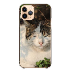 Google Pixel 7a GooglePixel7a �P�[�X �J�o�[ �O�[�O���s�N�Z��7a �X�}�z�P�[�X �n�[�h�P�[�X �˂� �L �q�L ���킢�� �X�R�e�B�b�V�� �N���A�P�[�X ���킢�� �ʐ^ �J�����}�� �n�[�h�J�o�[ �X�}�z�J