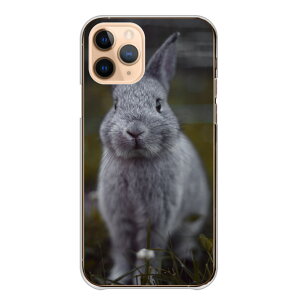 Google Pixel 8a GooglePixel8a �P�[�X �J�o�[ �O�[�O���s�N�Z��8a �X�}�z�P�[�X �n�[�h�P�[�X ������ �E�T�M �e ���r�b�g �q�e ��E�T�M ���킢�� ���� �ʐ^ �J�����}�� �n�[�h�J�o�[ �X�}�z�J�o�[ 