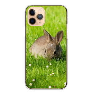 Redmi Note 11 Note11 �P�[�X �J�o�[ ���b�h�~�[�m�[�g11 �X�}�z�P�[�X �n�[�h�P�[�X ������ �E�T�M �e ���r�b�g �q�e ��E�T�M ���킢�� ���� �ʐ^ �J�����}�� �n�[�h�J�o�[ �X�}�z�J�o�[ �g�уP