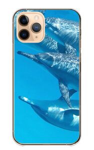 �_30%�I�t�����N�[�|���z�z�^ iPhone 15 plus iPhone15plus �P�[�X �J�o�[ �A�C�t�H��15�v���X �X�}�z�P�[�X �n�[�h�P�[�X �C���J �h���t�B�� �� �M�ы� ������ �C ���킢�� ������� ���������� ���� 