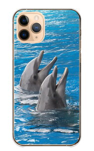 �_30%OFF�N�[�|���^ arrows We2 F-52E FCG02 M07 �P�[�X �J�o�[ �A���[�Y �E�B�[2 �X�}�z�P�[�X �n�[�h�P�[�X �C���J �h���t�B�� �� �M�ы� ������ �C ���킢�� ������� ���������� ���� �ʐ^ �N�[�� 