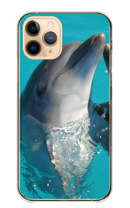 �_���z�N�[�|���z�z���^ arrows We2 F-52E FCG02 M07 �P�[�X �J�o�[ �A���[�Y �E�B�[2 �X�}�z�P�[�X �n�[�h�P�[�X �C���J �h���t�B�� �� �M�ы� ������ �C ���킢�� ������� ���������� ���� �ʐ^ �N