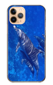 �_30%OFF�N�[�|���z�z �Z�[���^ arrows We2 F-52E FCG02 M07 �P�[�X �J�o�[ �A���[�Y �E�B�[2 �X�}�z�P�[�X �n�[�h�P�[�X �C���J �h���t�B�� �� �M�ы� ������ �C ���킢�� ������� ���������� ���� ��