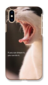 スマホケース Huawei P30 lite Huawei P20 Pro ファーウェイ P30 ライト ケース ハードケース 送料無料 スマホケース cat クリアケース 猫 宇宙猫 スペーキャット ふてぶてしい 肉球 かっこいい おしゃれ 人気 Huawei P20 lite ライト nova lite3 ノバライト3 ノバ 5t nova5T