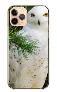Galaxy S20+ SC-52A SCG02 �P�[�X �J�o�[ �M�����N�V�[ S20+ �v���X �X�}�z�P�[�X �n�[�h�P�[�X �t�N���E �� �� ���� �~�~�Y�N �V�}�t�N���E �V���t�N���E �����t�N���E �ʐ^ ���� ���킢�� �n�[�h