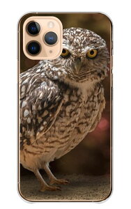 �_30%OFF�N�[�|���z�z �Z�[���^ Galaxy S26+ SC-52G SCG38 �P�[�X �J�o�[ �M�����N�V�[S26�v���X �X�}�z�P�[�X �n�[�h�P�[�X �t�N���E �� �� ���� �~�~�Y�N �V�}�t�N���E �V���t�N���E �����t�N���E ��